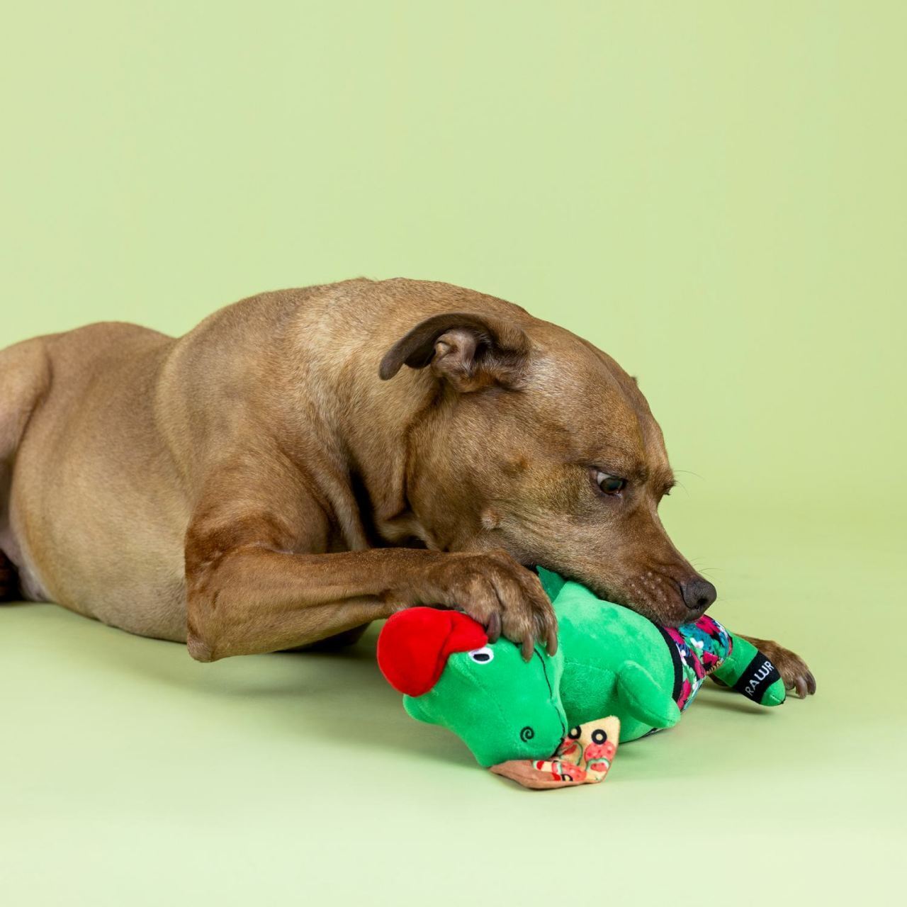 Fringe Studio Pizzasaurus Rex Plush Dog Toy