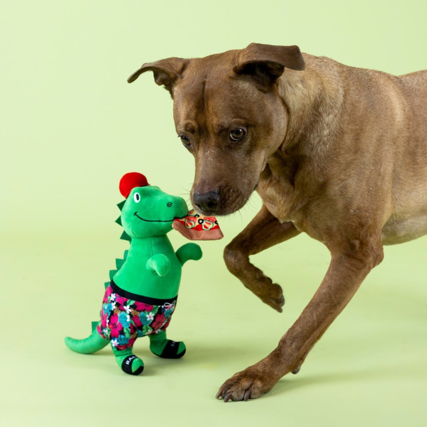 Fringe Studio Pizzasaurus Rex Plush Dog Toy