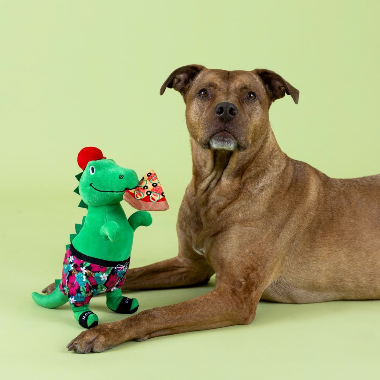 Fringe Studio Pizzasaurus Rex Plush Dog Toy