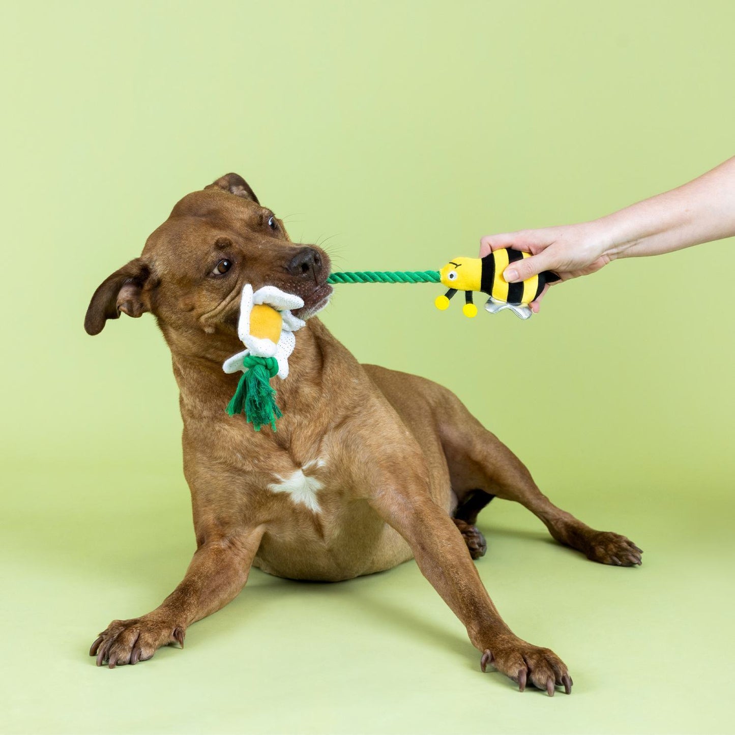 Fringe Studio I'm Pollen For You Plush Toy With Rope