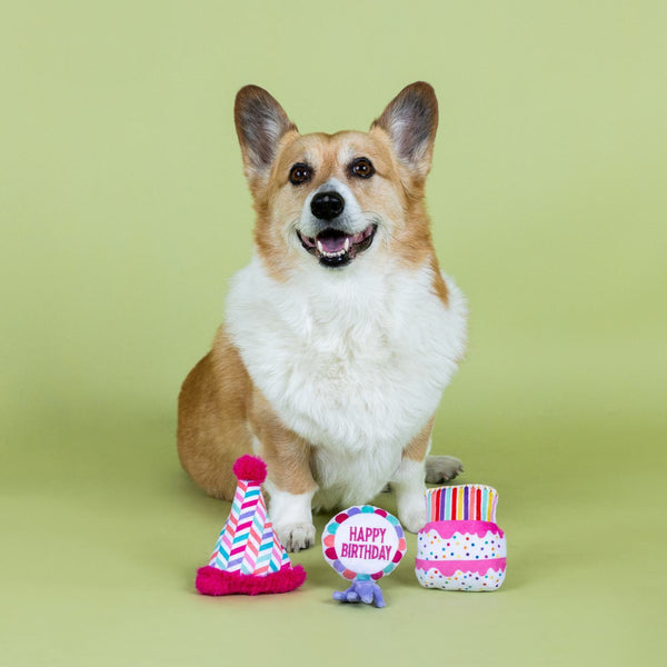 Fringe Studio "Can I Get A Woof Woof" 3 Piece Dog Toy Set