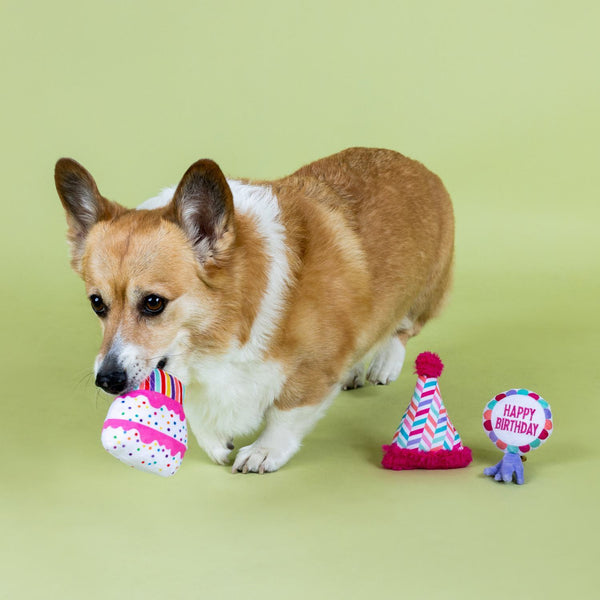 Fringe Studio "Can I Get A Woof Woof" 3 Piece Dog Toy Set