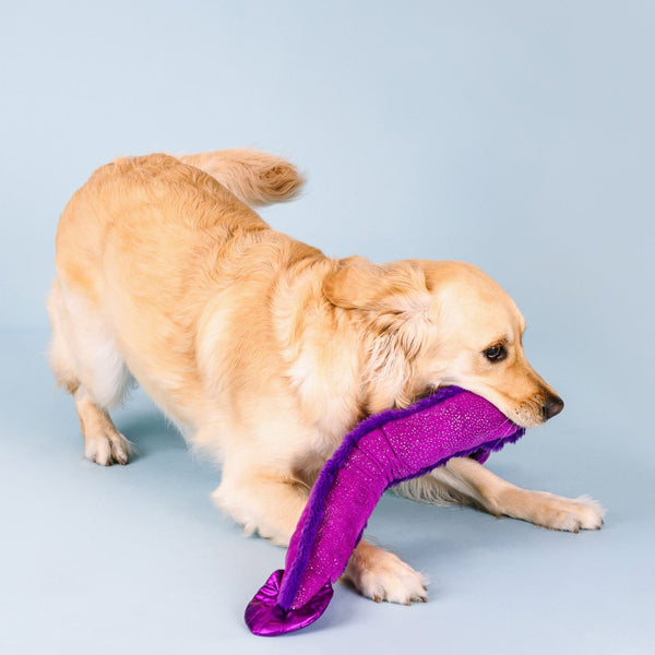 Fringe Studio I'm Kind Of A Big Eel Plush Dog Toy X Large