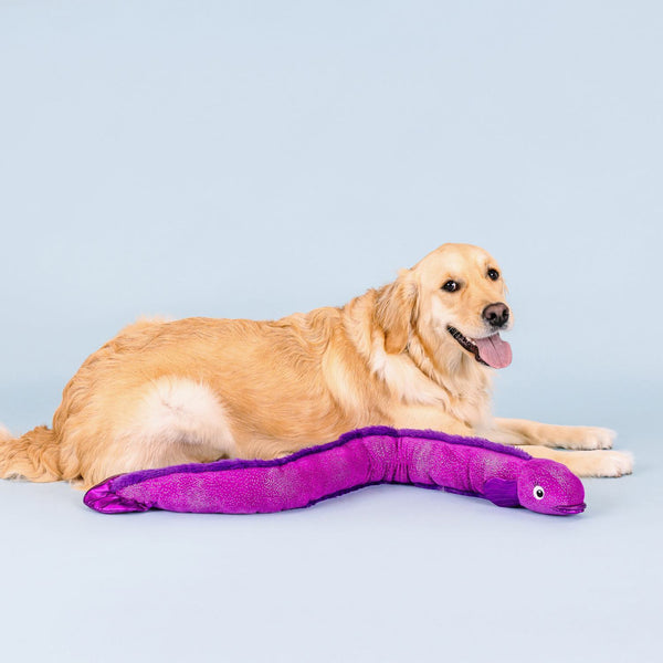 Fringe Studio I'm Kind Of A Big Eel Plush Dog Toy X Large