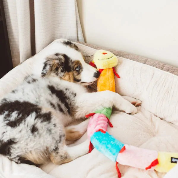 ZippyPaws® Caterpillar Deluxe Dog Toy with Blaster Squeakers
