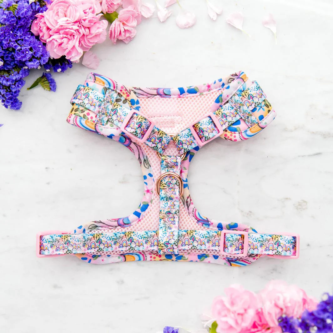 Pawfect Pals-Got It Glowing On- Boho Vibes- No Pull Adjustable Harness