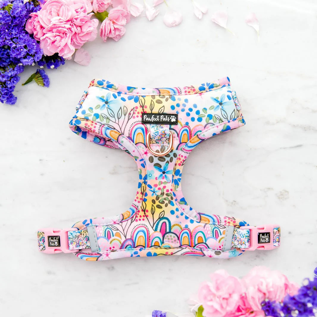 Pawfect Pals-Got It Glowing On- Boho Vibes- No Pull Adjustable Harness