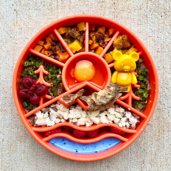 Sodapup Great Outdoors eBowl Slow Feeder Bowl For Dogs