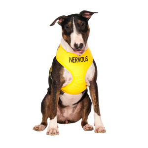 Friendly Dog Collars- NERVOUS- Adjustable Vest Harness – The Doggy Bag