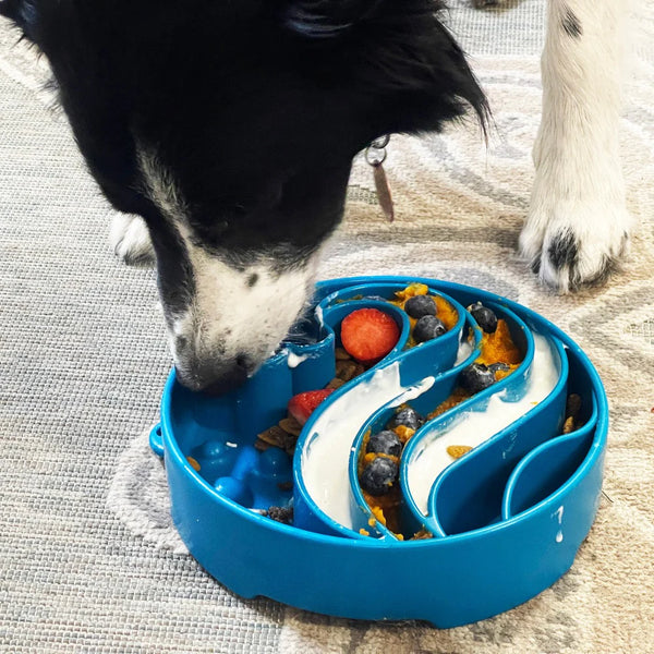 Sodapup Wave eBowl Slow Feeder Bowl For Dogs