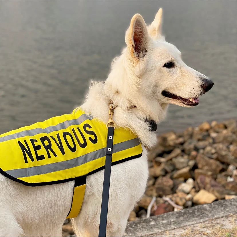 Friendly Dog Collars- Coat- Nervous