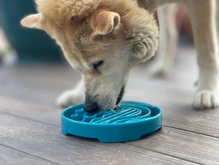 Sodapup Baja Shallow eBowl Slow Feeder For Dogs- Sea Foam