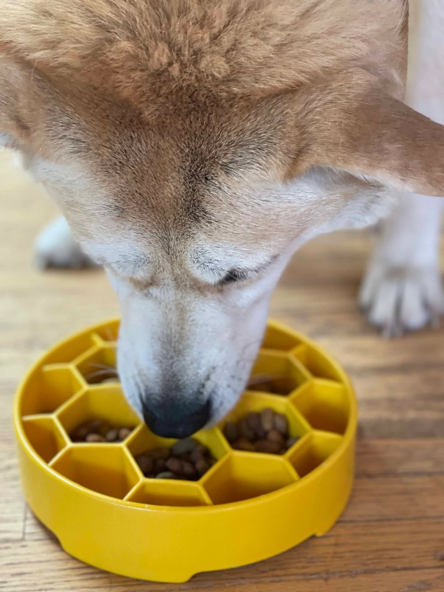 Sodapup Honeycomb eBowl Slow Feeder Bowl For Dogs-Yellow