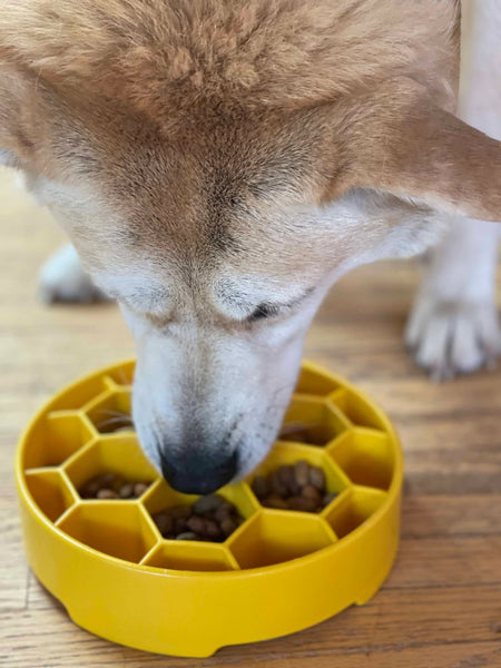 Sodapup Honeycomb eBowl Slow Feeder Bowl For Dogs-Yellow
