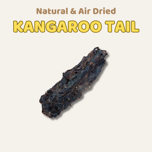 Natural and air-dried kangaroo tail on a light gray background with text.