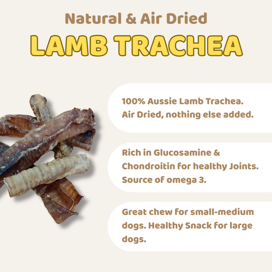 Lamb Trachea All Natural Dog Treats
