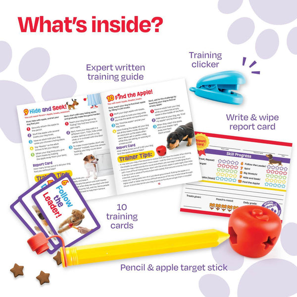 Brightkins Pooch School- Interactive Dog Training Set