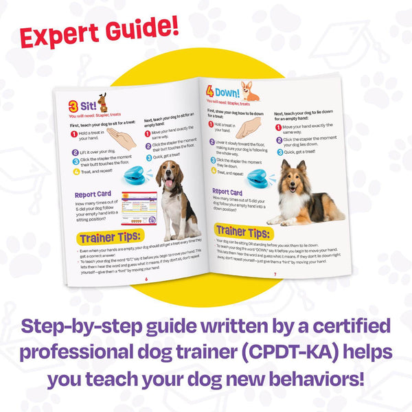 Brightkins Pooch School- Interactive Dog Training Set