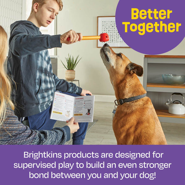 Brightkins Pooch School- Interactive Dog Training Set