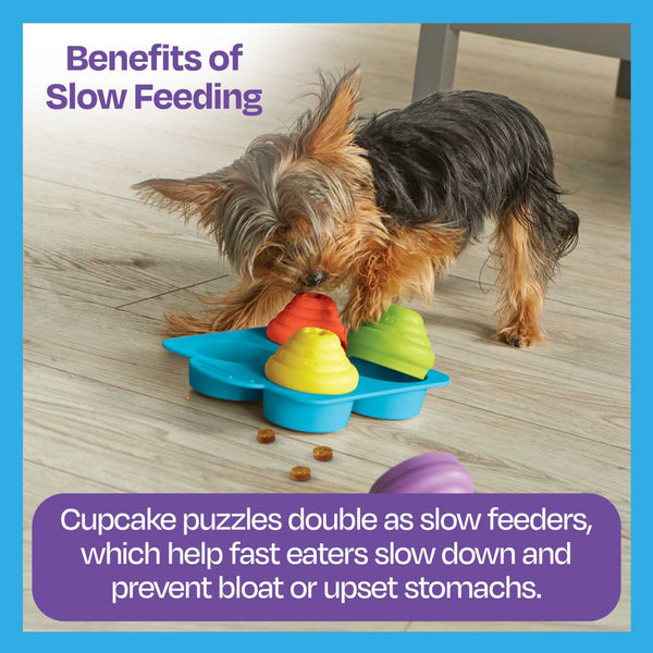 Brightkins Cupcake Party! Dog Treat And Food Interactive Puzzle