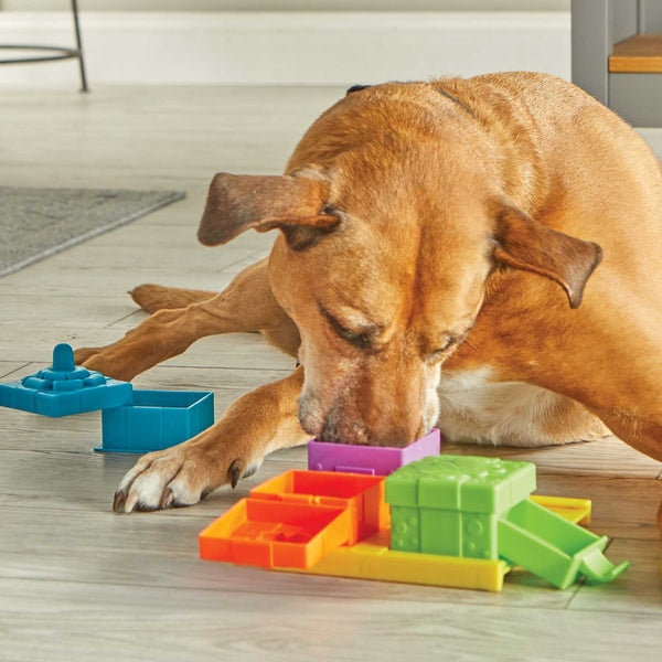 Brightkins Suprise Party! Dog Treat And Food Interactive Puzzle Toy