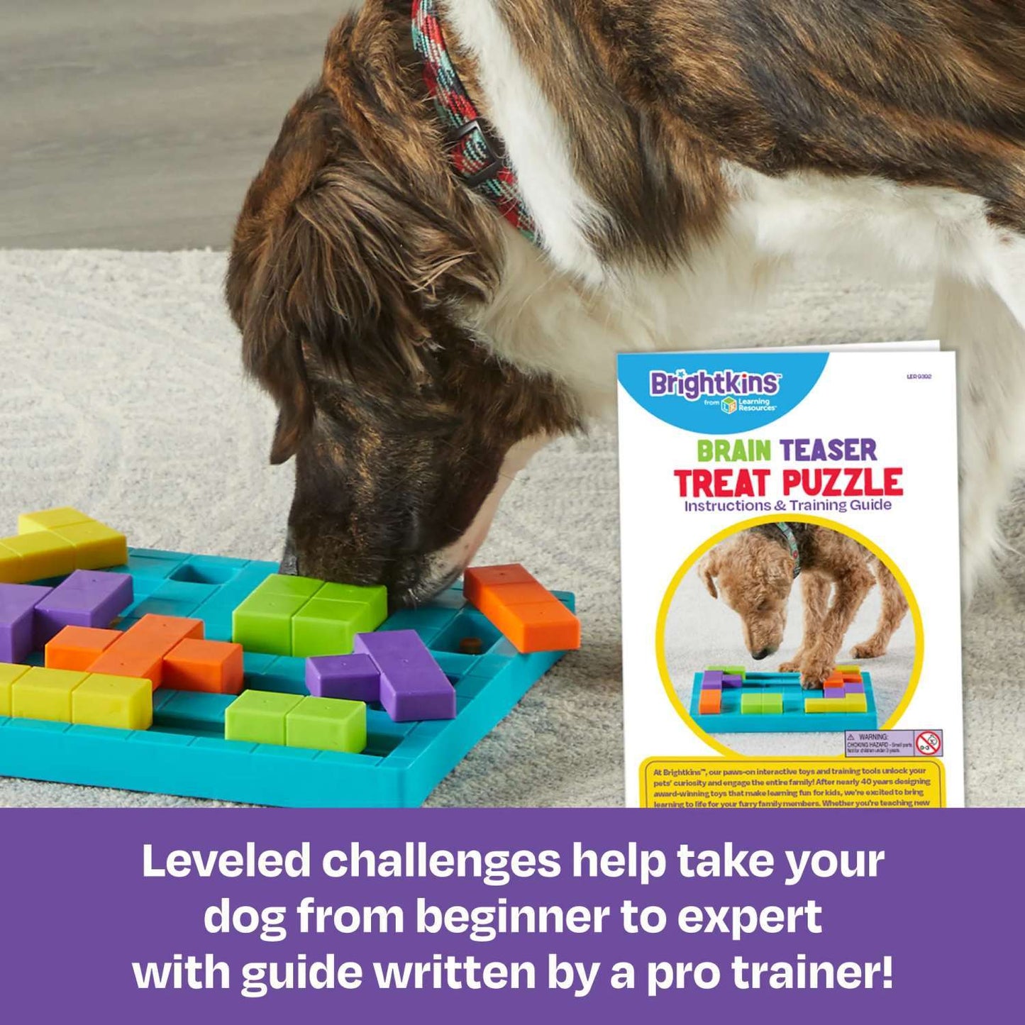 Brightkins Brain Teaser Interactive Dog Treat And Food Puzzle