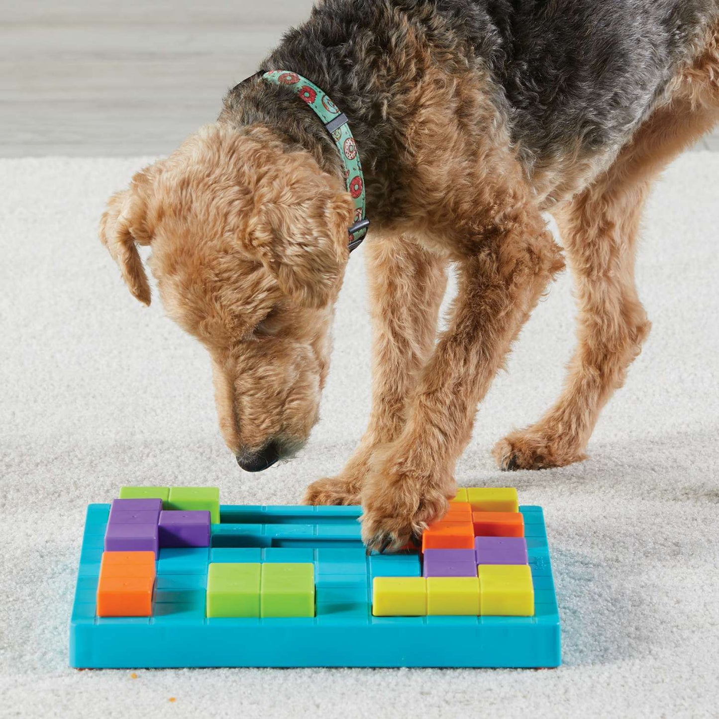 Brightkins Brain Teaser Interactive Dog Treat And Food Puzzle
