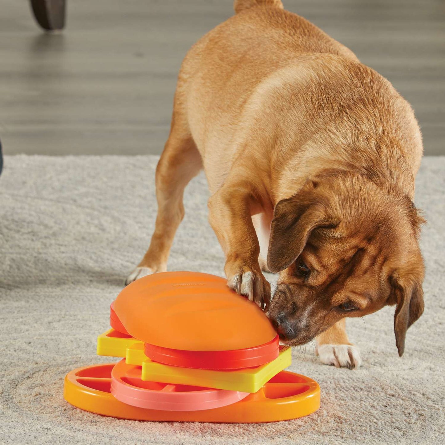 Brightkins Pupstrami Suprise!Interactive Dog Treat And Food Puzzle Toy