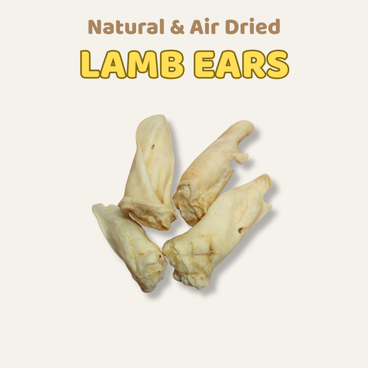 Three natural air dried lamb ears on a light gray background with text above.
