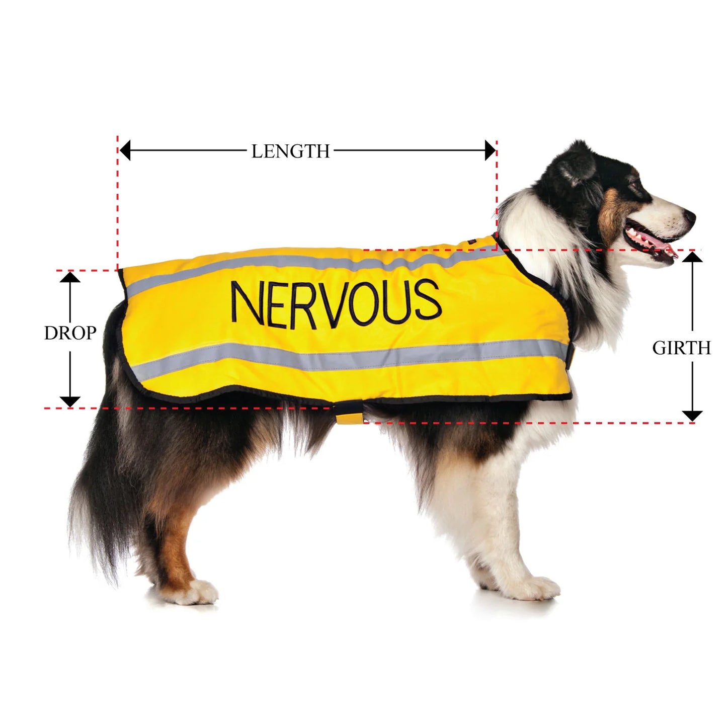 Friendly Dog Collars- Coat- Nervous
