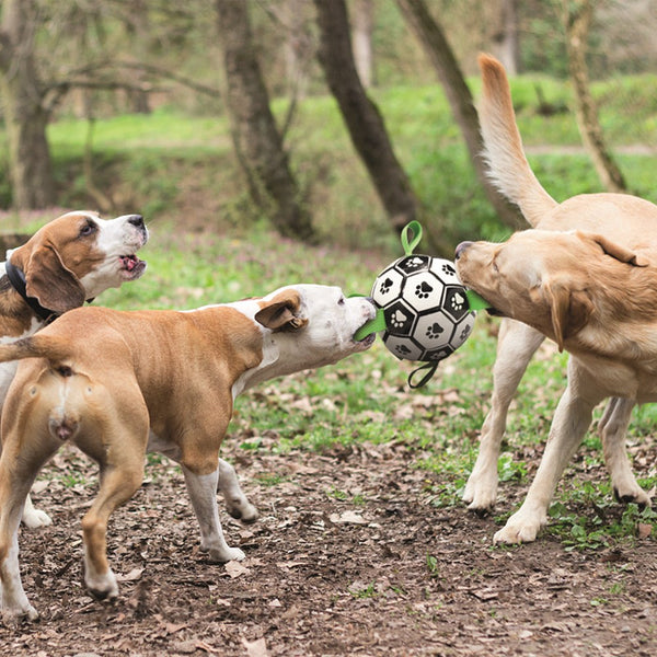 M-Pets Soccer Ball With Tabs