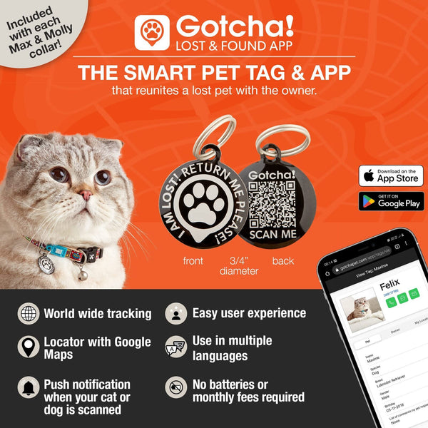 Max and Molly Smart ID Cat Collar Magic Zebra