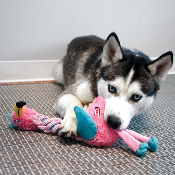 KONG Knot Twists Dog Toy