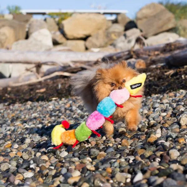 ZippyPaws® Caterpillar Squeaky Dog Toy