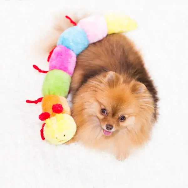 ZippyPaws® Caterpillar Squeaky Dog Toy