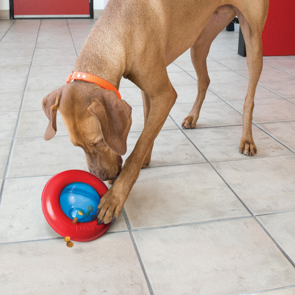 KONG®️ Gyro Treat Dispensing Toy