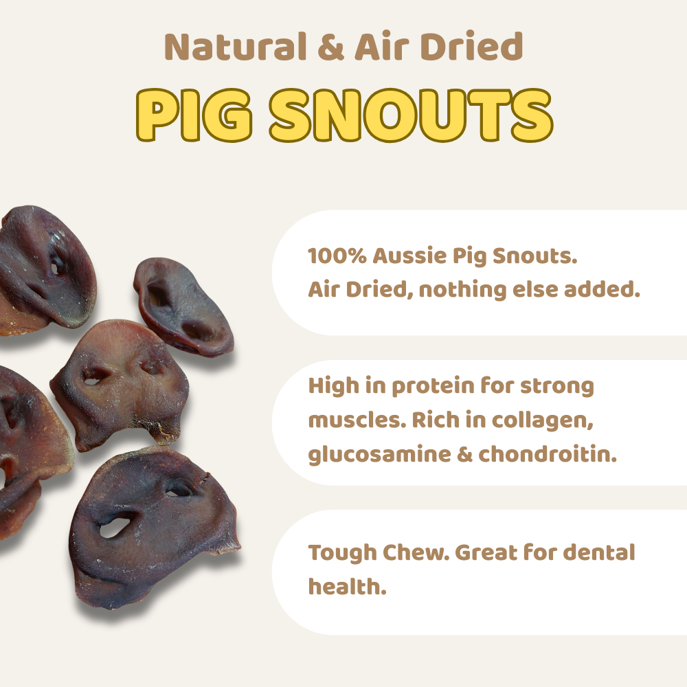 Pig Snouts All Natural Dog Treats