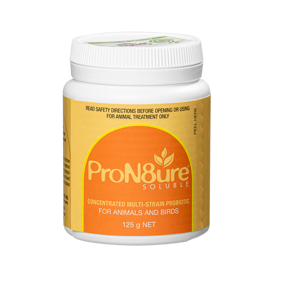 INTERNATIONAL ANIMAL HEALTH PRON8URE SOLUBLE POWDER