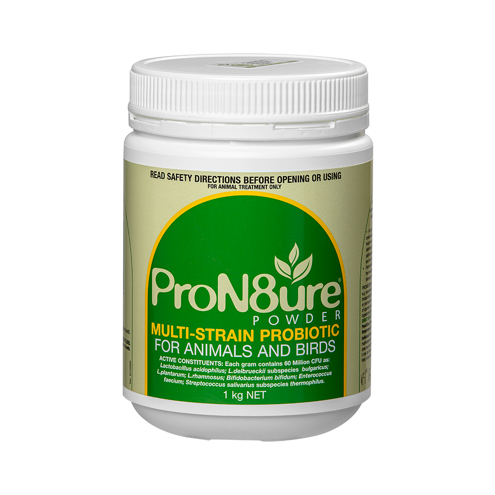 IAH Pron8ure Powder- Multi Strain Probiotic