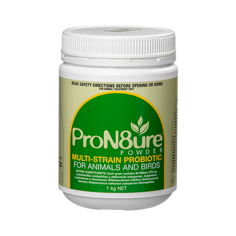IAH Pron8ure Powder- Multi Strain Probiotic