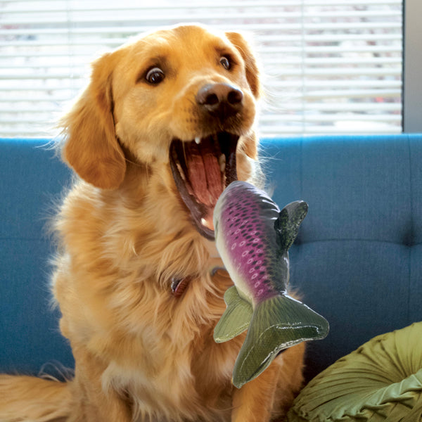 KONG Wild Shieldz Trout Dog Toy Medium