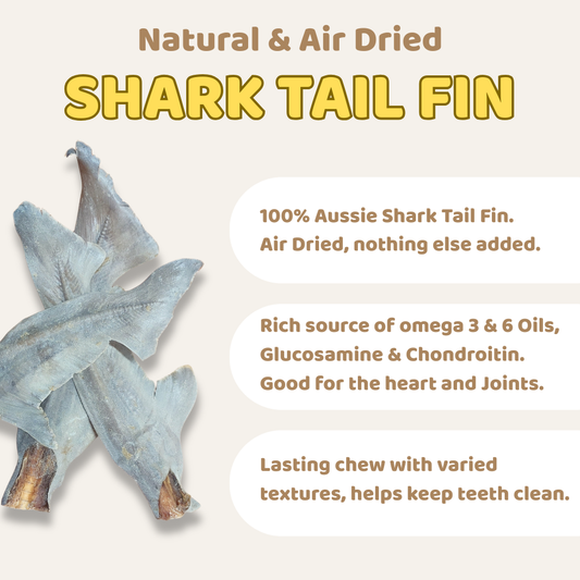 Shark tail fin with text about natural and air-dried shark tail fin on a beige background