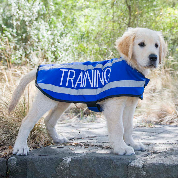 Friendly Dog Collars- Coat- Training
