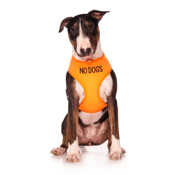 NO DOGS