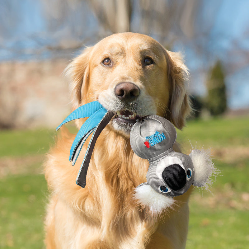 Kong wubba dog toy Koala design with Golden Retriever