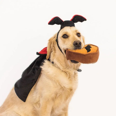Zippy Paws Halloween Costume Kit- Dracula