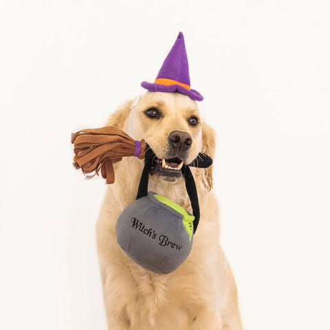 Zippy Paws Halloween Costume Kit- Witch