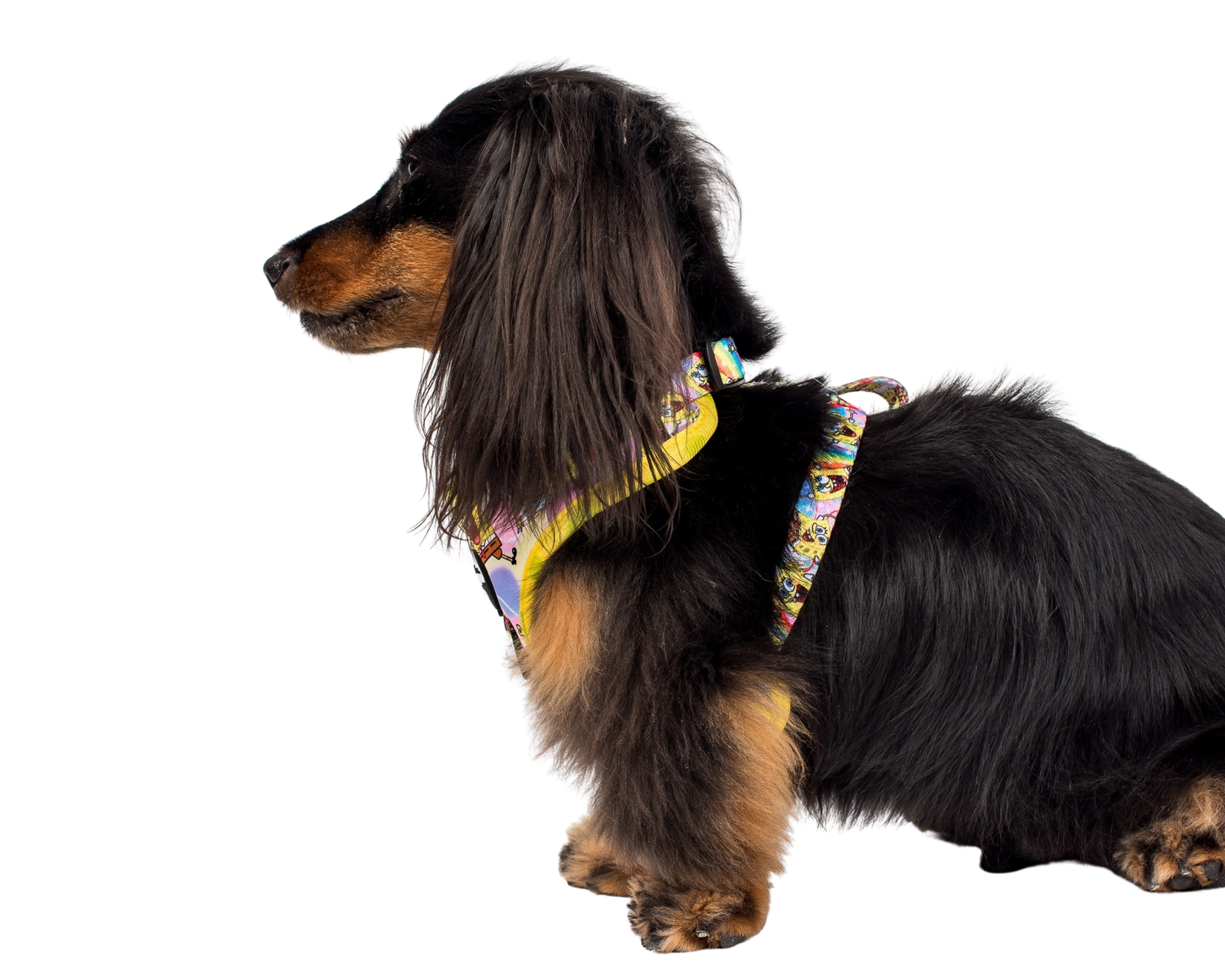 Pablo & Co- SpongeBob SquarePants: Adjustable Harness