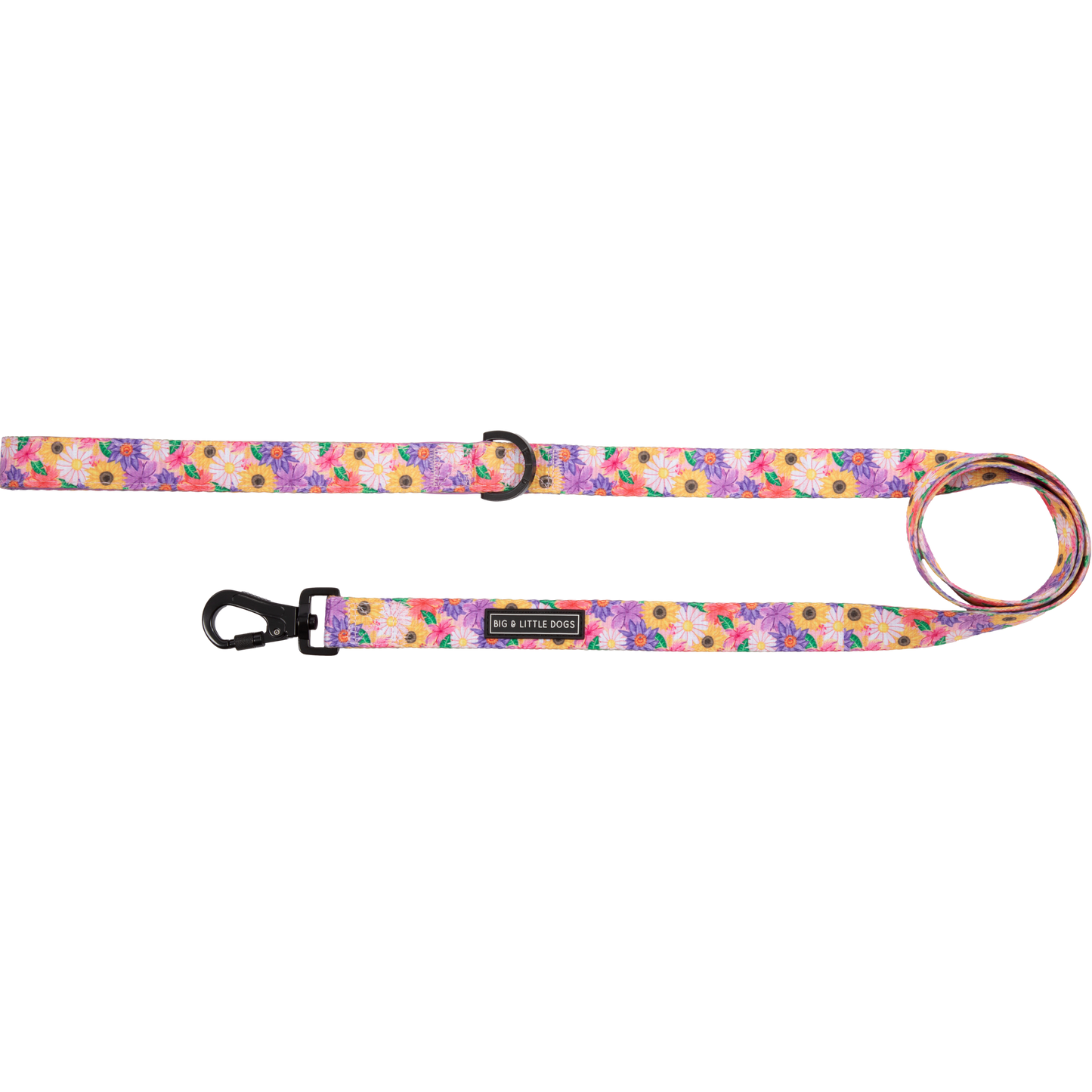 Big And Little Dogs- DOG LEASH: Spring Fling