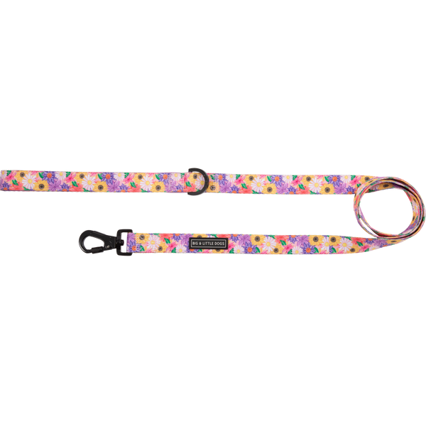 Big And Little Dogs- DOG LEASH: Spring Fling